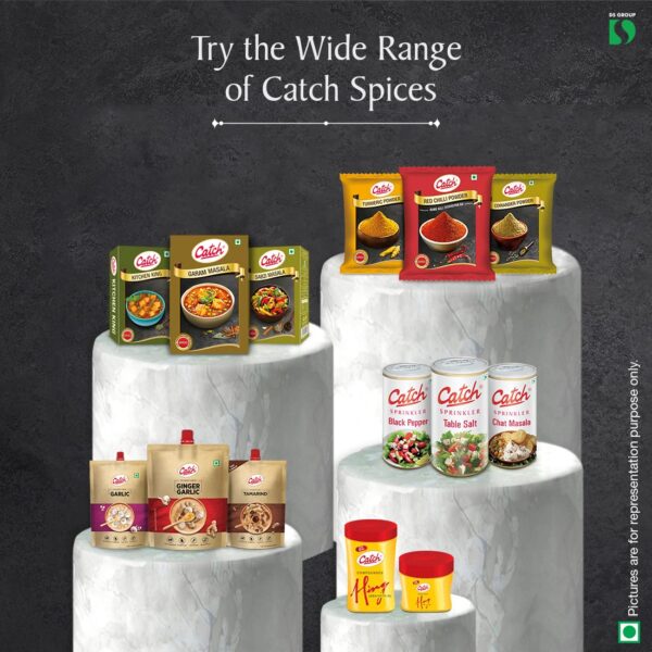 Catch Sabzi Masala, 100g - Image 2